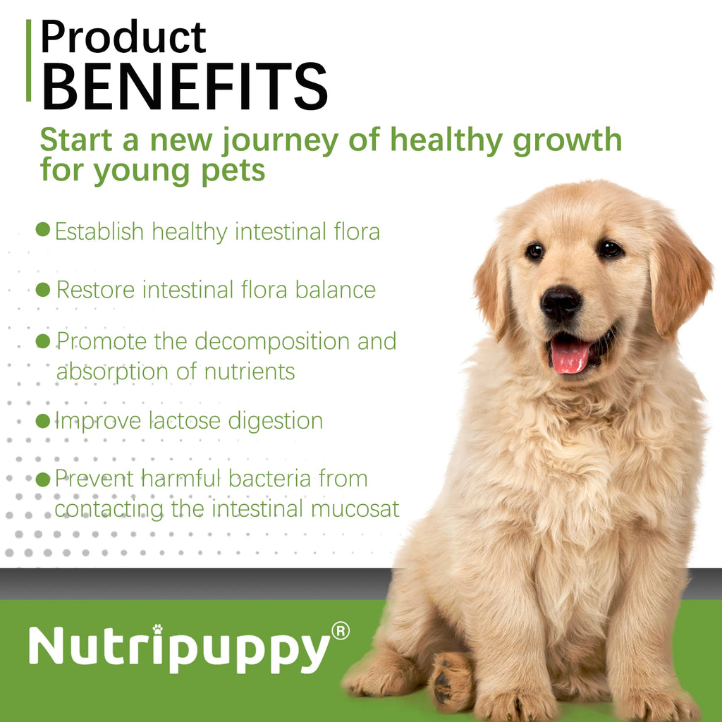 Dog Probiotic Powder Supplement - Supports Digestive Health&Relieves Diarrhea,Boosts Immune System for Puppy Adult Senior Dogs - Sun Studio