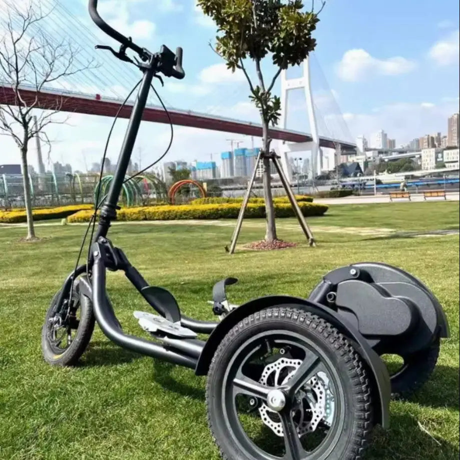SRJOINFIT Step Bike Fitness Bike Upright Bike Fitness Cycling Tricycle Fitness Step Bike - Sun Studio