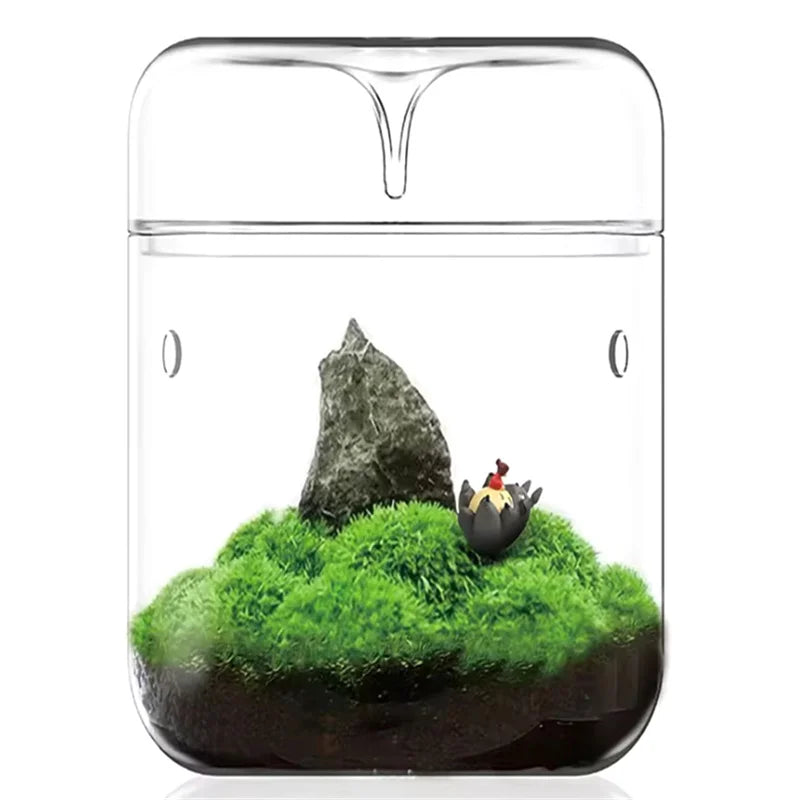Glass Bottles Creativity Dew Collection Glass Vase Micro Landscape Succulent Moss Landscape Glass Terrarium Home Decor - Sun Studio