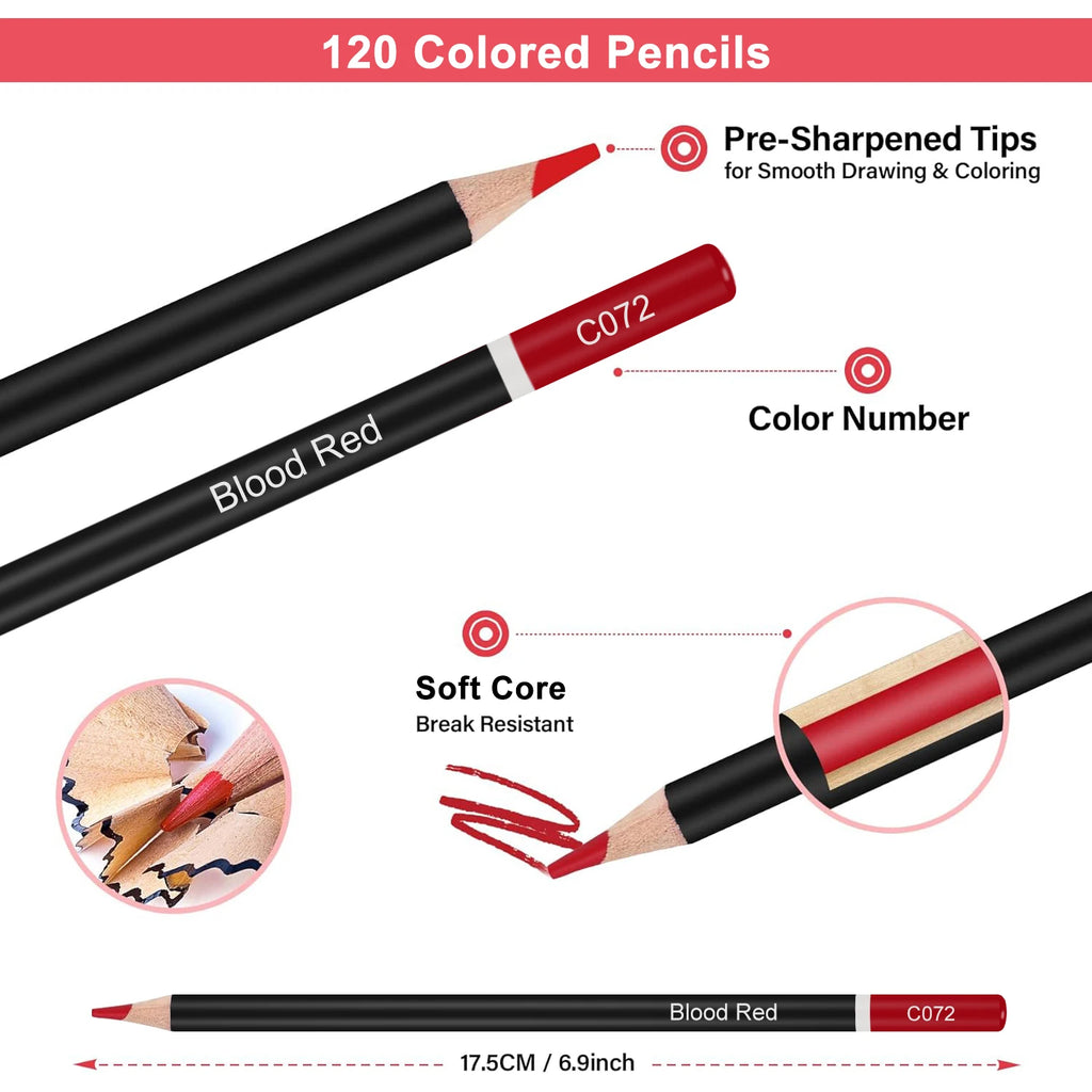 42/73/146 Pack Drawing Sketching Set, with 3-Color Sketchbook, Graphite, Charcoal Pencil, Ideal for Shading, Blending - Sun Studio